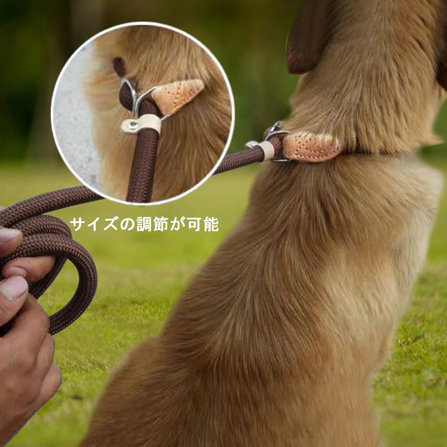 Collar Harness Dog Leash Nylon Pet Lead Leash Adjustable Dog Harness Durable Rope Belt Lightweight Dog Accessories Pet Collar