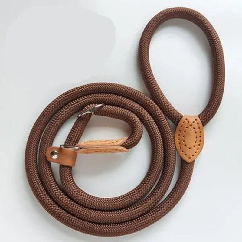 Collar Harness Dog Leash Nylon Pet Lead Leash Adjustable Dog Harness Durable Rope Belt Lightweight Dog Accessories Pet Collar