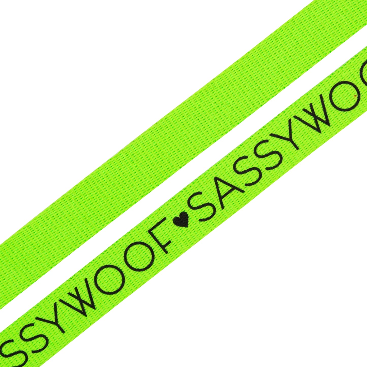 Dog Leash - Neon Green