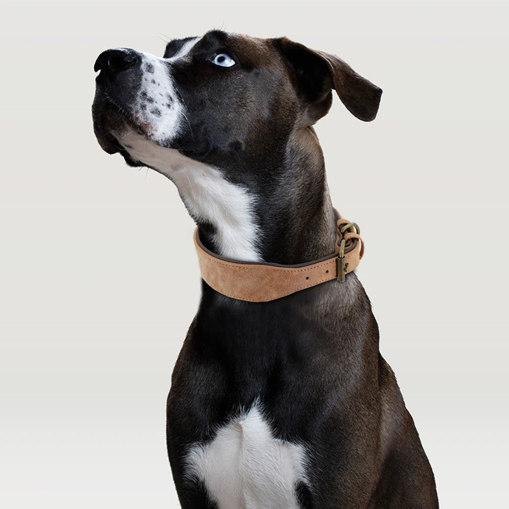 Wide Leather Dog Collar Padded Pet Collars Dog Collar for Medium Large Dogs Pitbull Bulldog German Shepherd 2XL