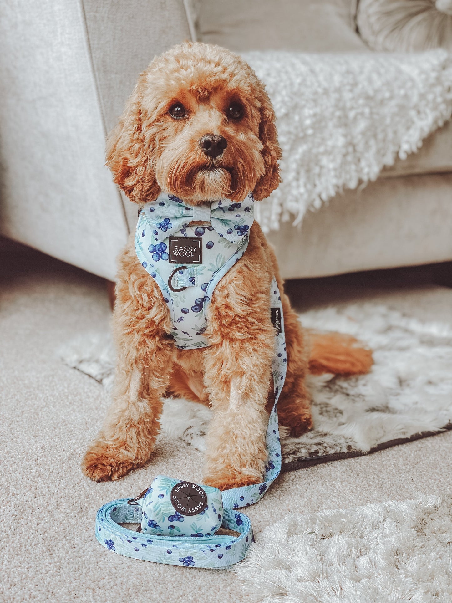 Dog Leash - Berry Sassy
