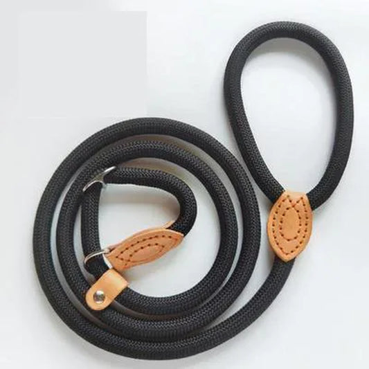 Collar Harness Dog Leash Nylon Pet Lead Leash Adjustable Dog Harness Durable Rope Belt Lightweight Dog Accessories Pet Collar