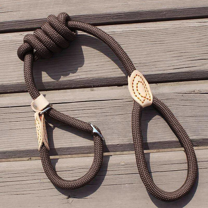 Collar Harness Dog Leash Nylon Pet Lead Leash Adjustable Dog Harness Durable Rope Belt Lightweight Dog Accessories Pet Collar