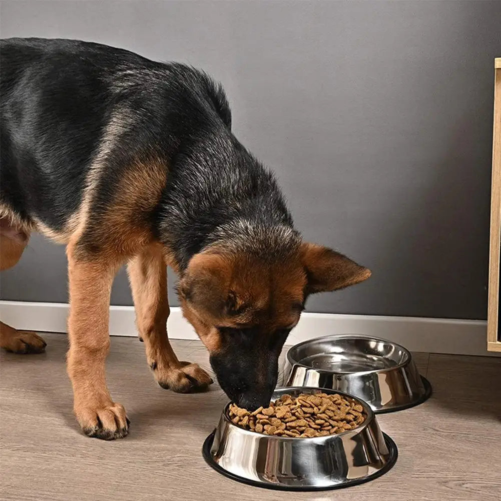 Steel Pet Dog Bowl Feeder Skidproof Anti-Ant Food Water Drink Dishes Feeder Dog Bowls Food Accessories Pet Supplies