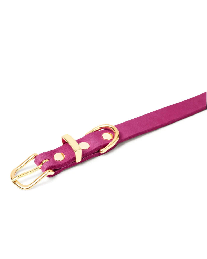 Butter Leather Dog Collar in Flamingo (Made in Austria)