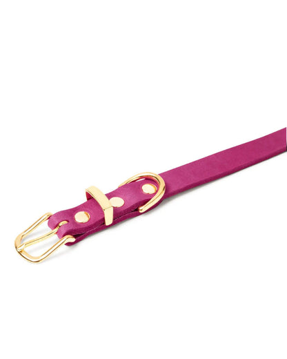 Butter Leather Dog Collar in Flamingo (Made in Austria)