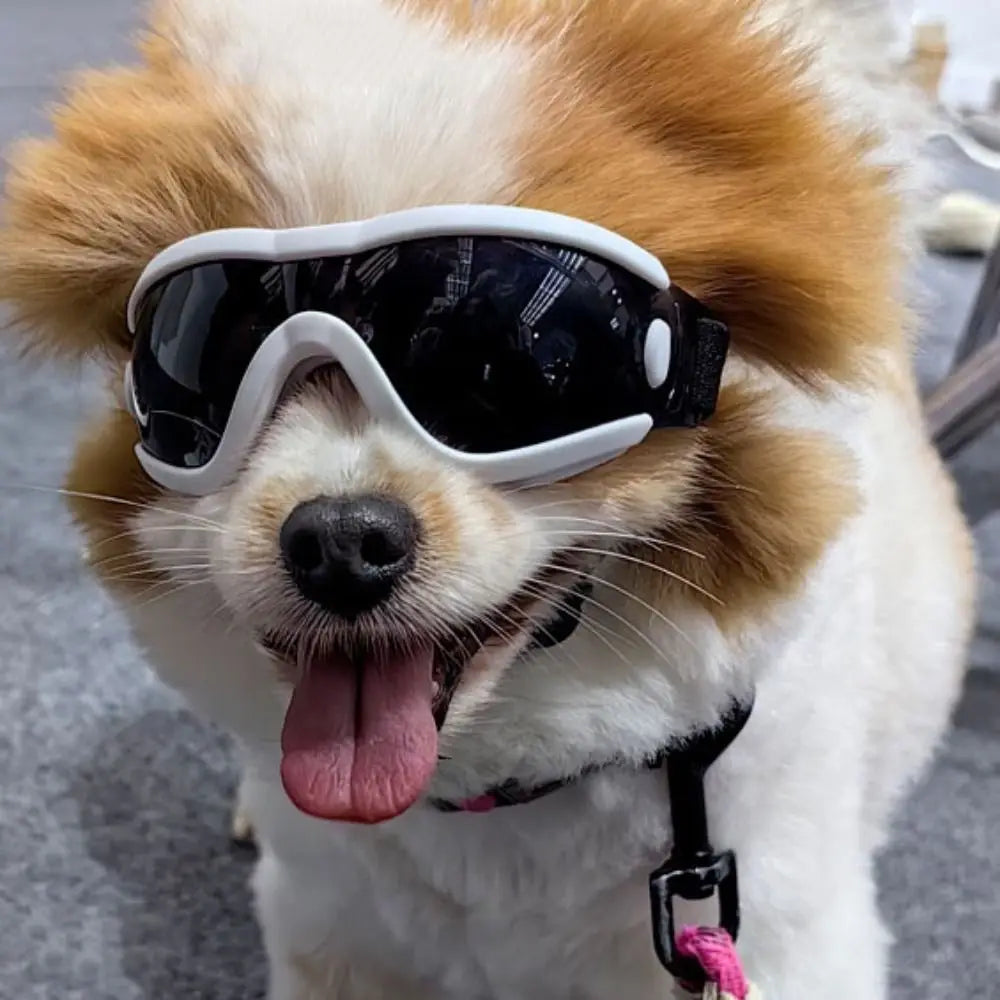 Cool Adjustable Strap Dog Goggles UV Resistant Waterproof Dog Sunglasses Windproof Anti-Fog Pet Glasses Travel