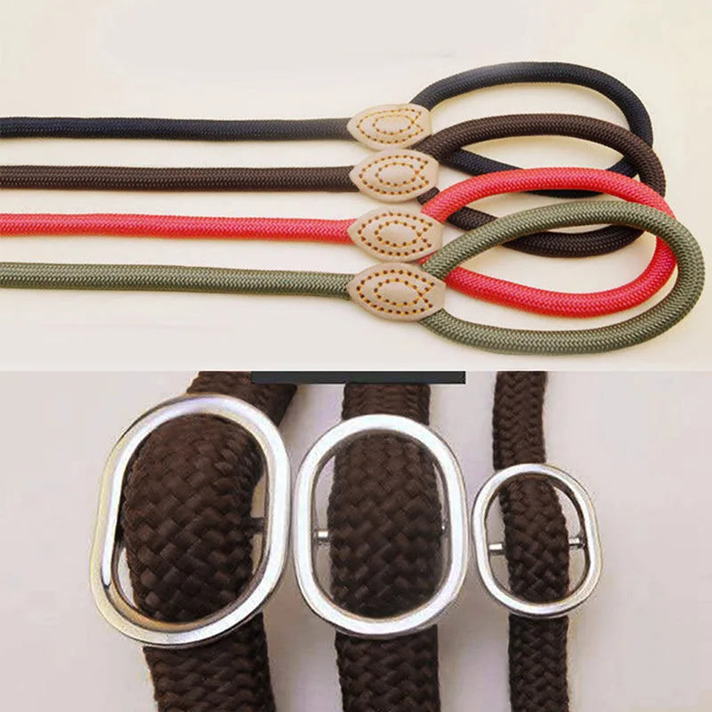 Collar Harness Dog Leash Nylon Pet Lead Leash Adjustable Dog Harness Durable Rope Belt Lightweight Dog Accessories Pet Collar