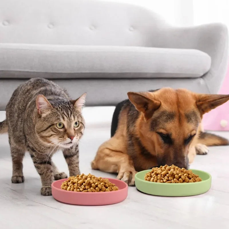 Silicone Pet Dog Feeding Bowl Outgoing Dog Accessories Drinking Water Silicone Cat Bowl Dog Bowl Pet Supplies