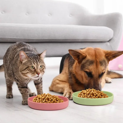 Silicone Pet Dog Feeding Bowl Outgoing Dog Accessories Drinking Water Silicone Cat Bowl Dog Bowl Pet Supplies