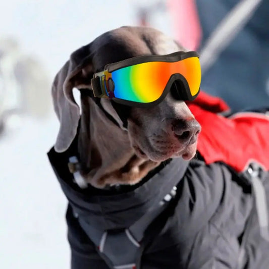 Cool Adjustable Strap Dog Goggles UV Resistant Waterproof Dog Sunglasses Windproof Anti-Fog Pet Glasses Travel