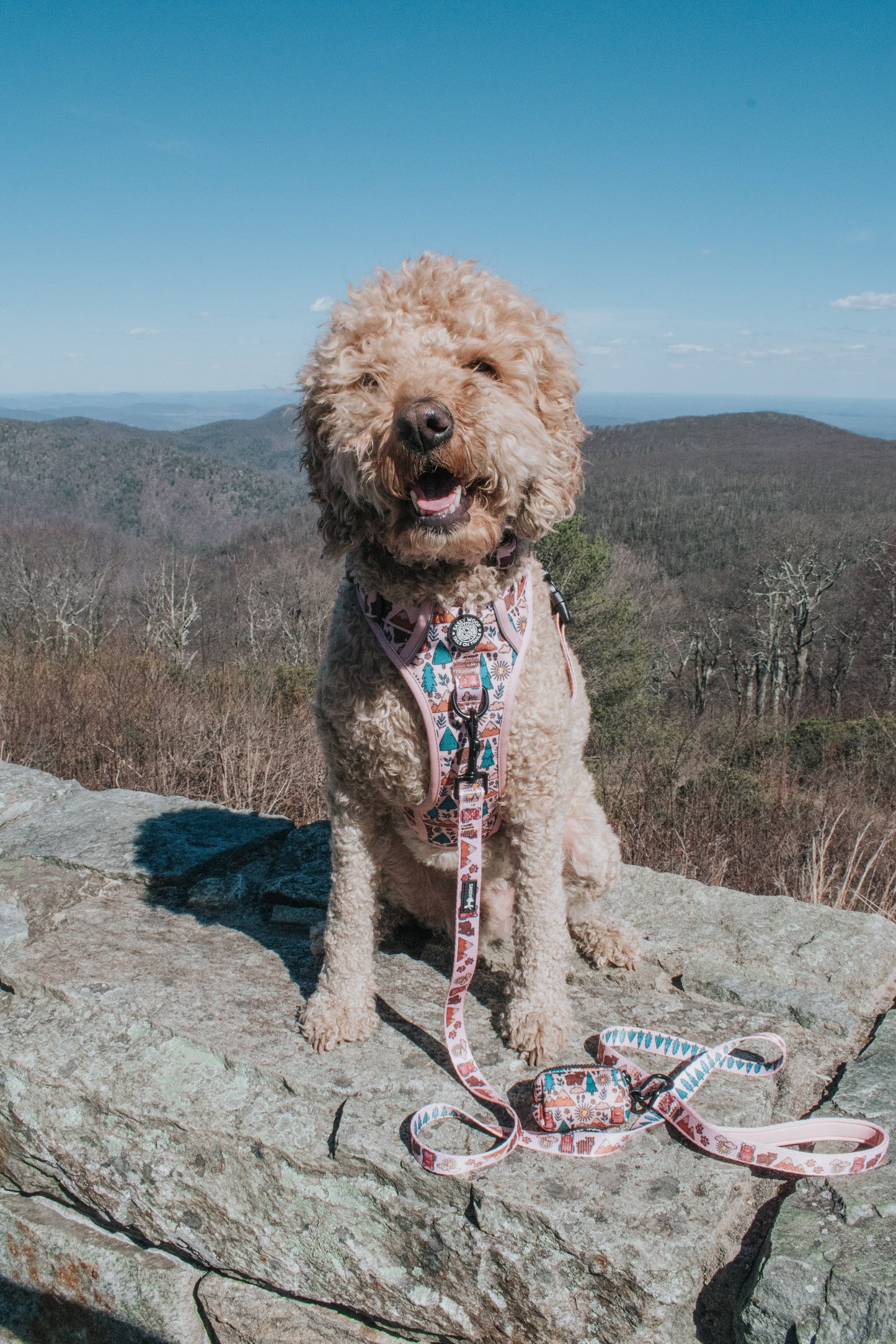 Dog Leash - National Bark