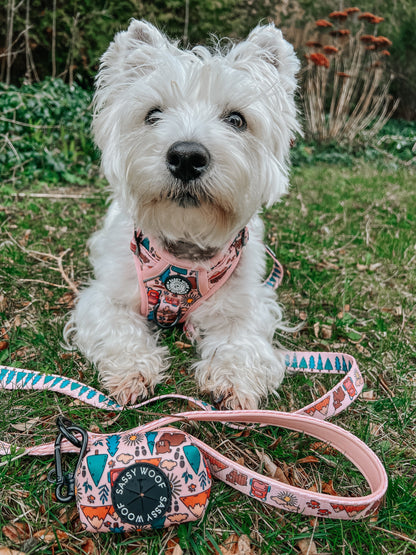 Dog Leash - National Bark