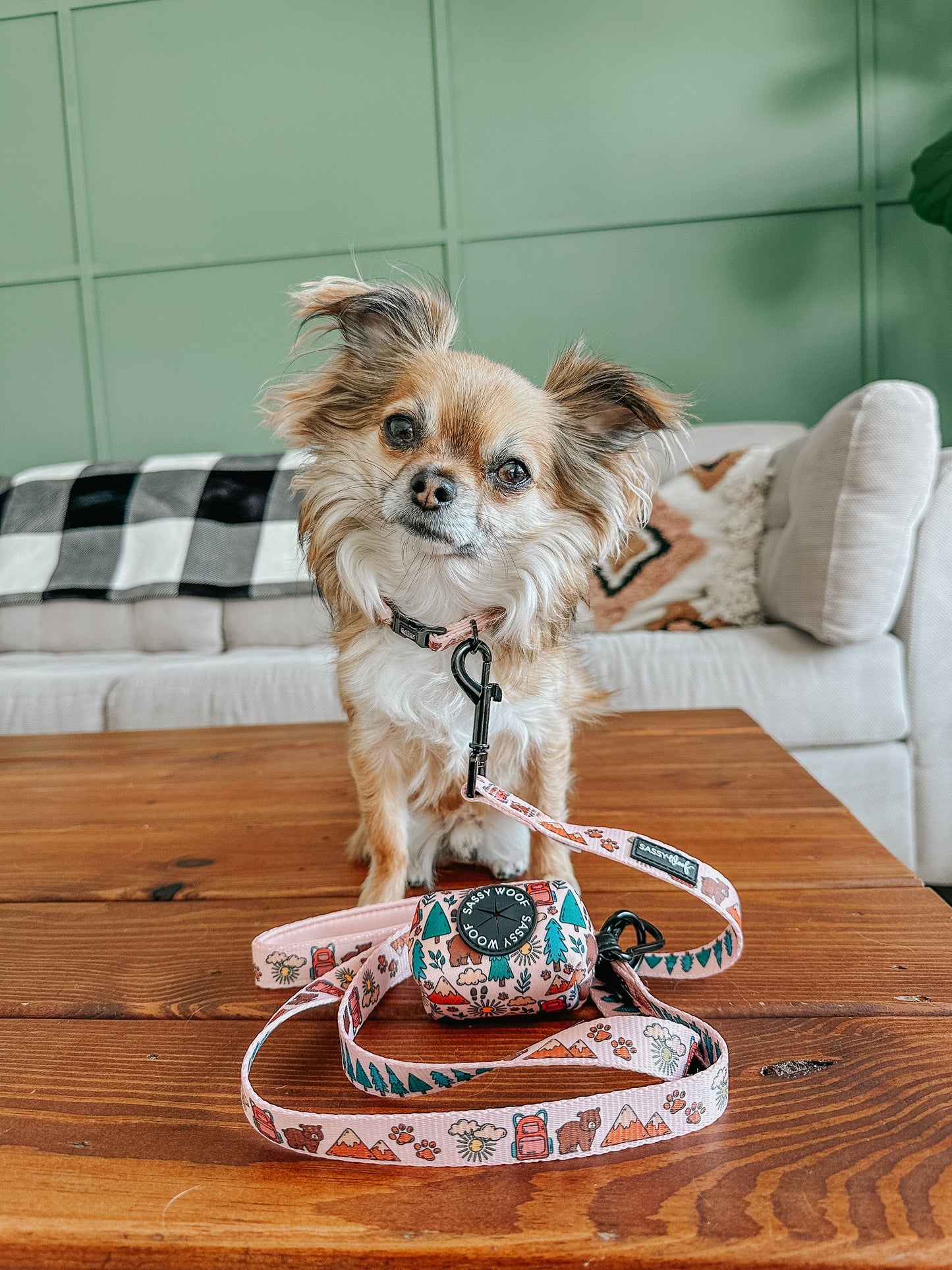 Dog Leash - National Bark