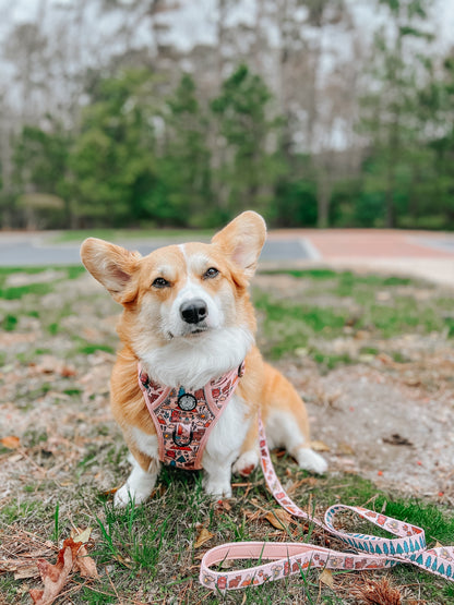 Dog Leash - National Bark