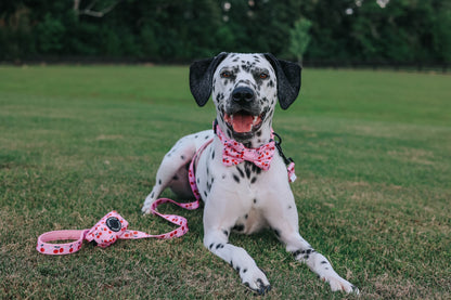 Dog Leash - Mon Chérry