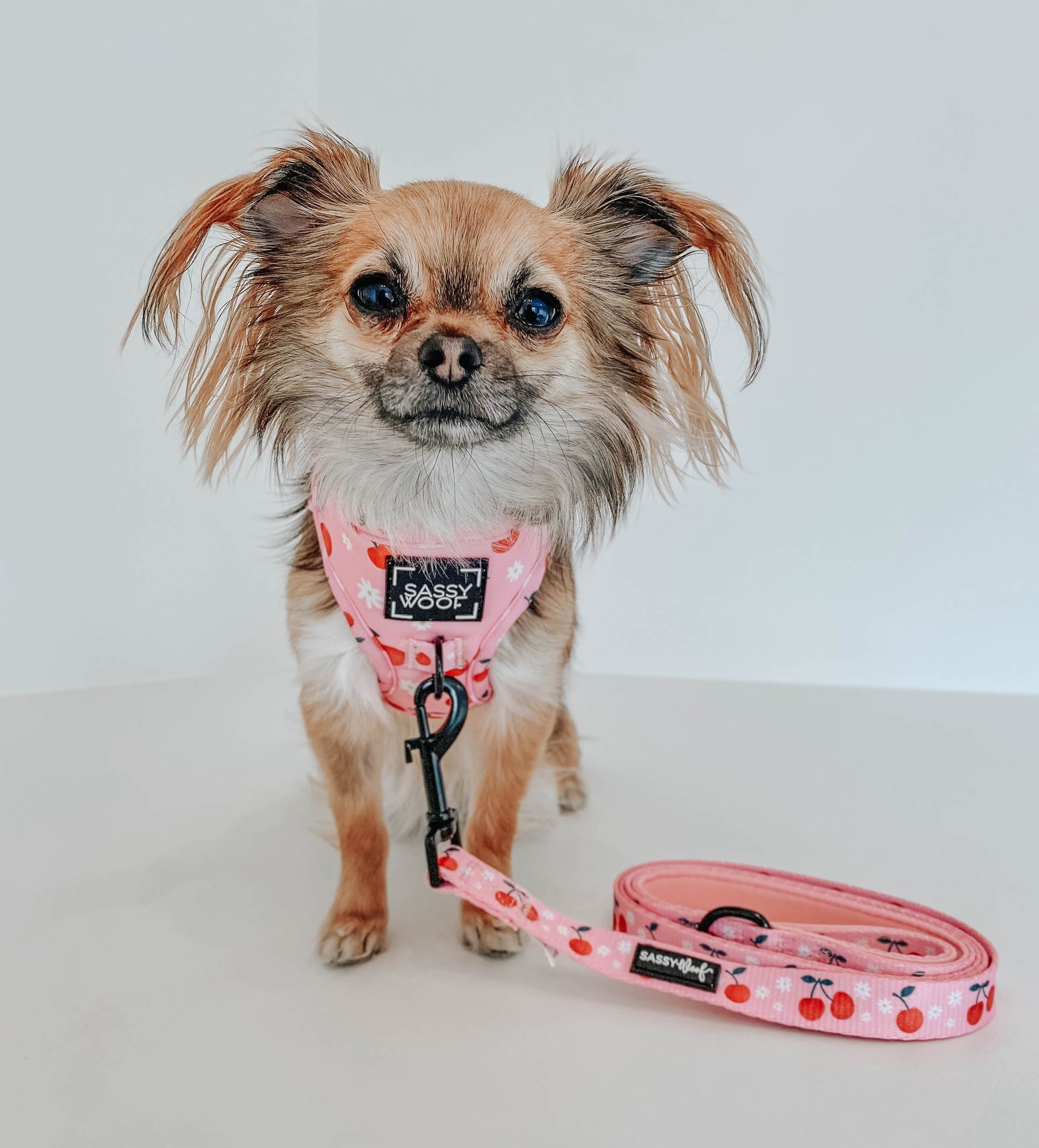 Dog Leash - Mon Chérry