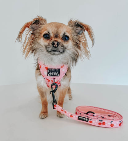 Dog Leash - Mon Chérry