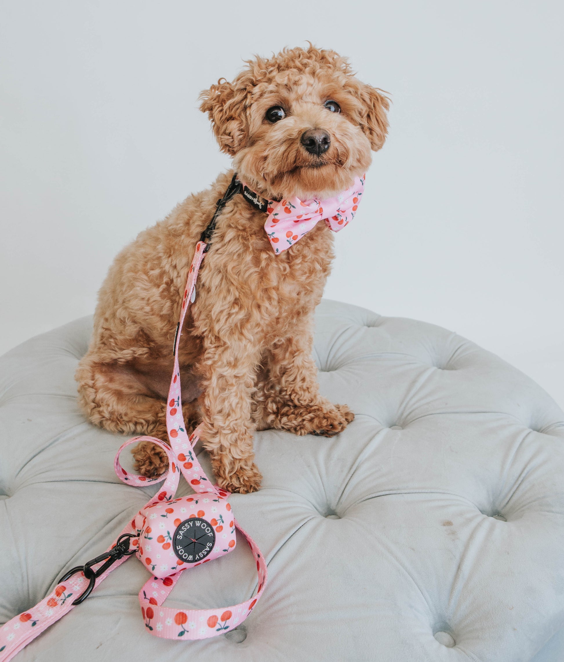 Dog Leash - Mon Chérry