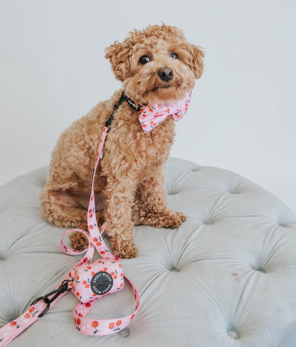 Dog Leash - Mon Chérry