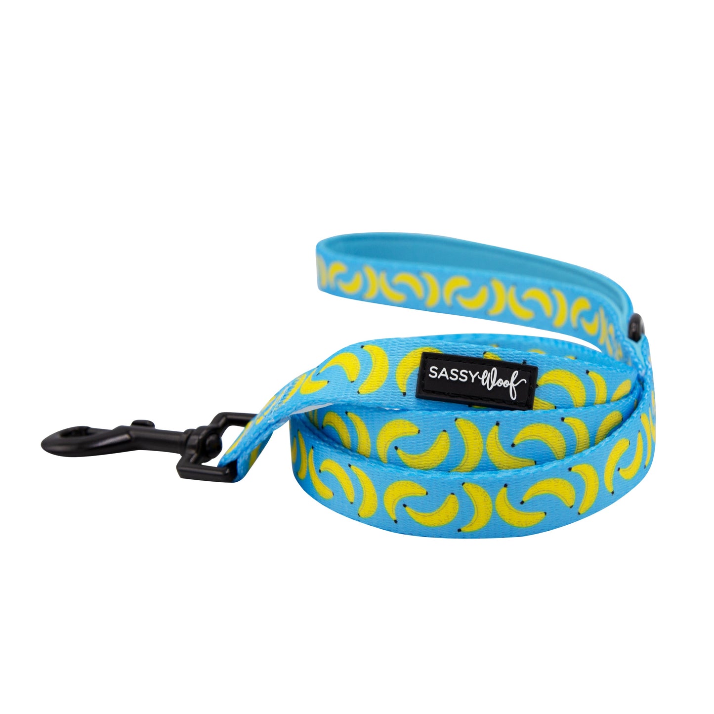 Dog Leash - Peeling Sassy