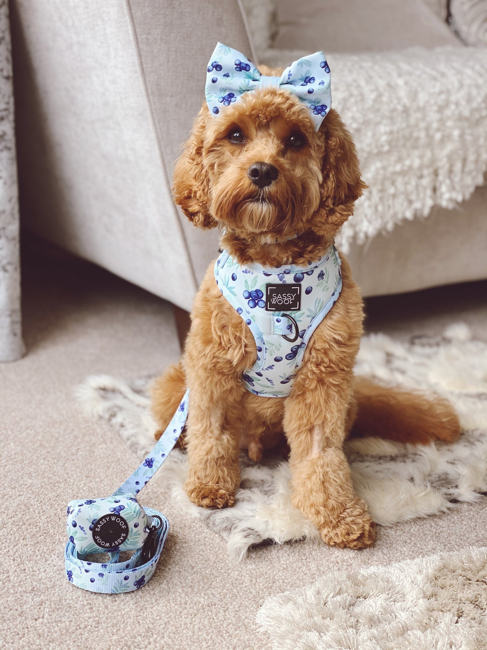 Dog Leash - Berry Sassy